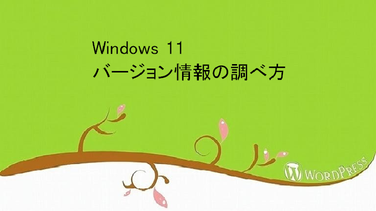 【Window 11】Windows のバージョン確認する方法